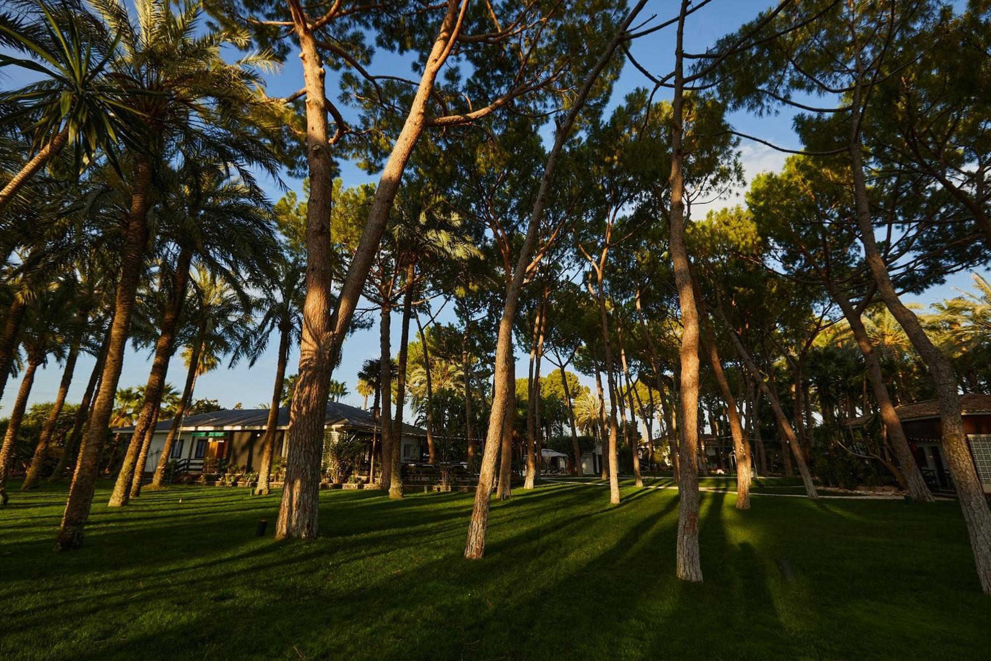 Villa El Oasis La Eliana