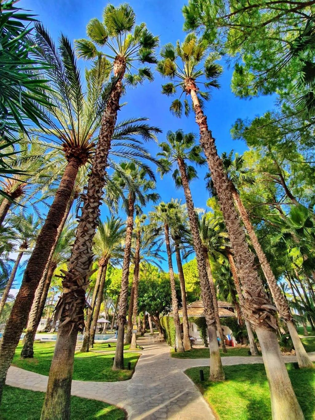 El Oasis Villa San Antonio de Benagéber