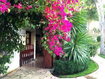 El Oasis