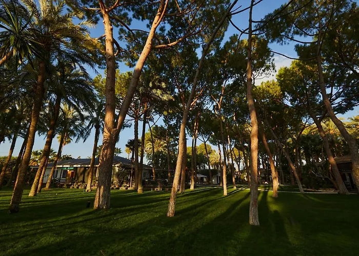 El Oasis Villa Resort