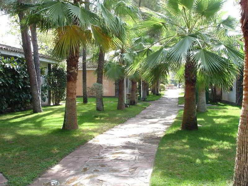 El Oasis L'Eliana